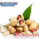 jual kacang murah