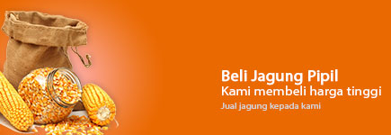 jagung-pipil jagung-pipil