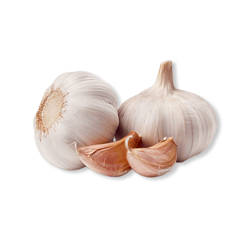 jual bawang putih