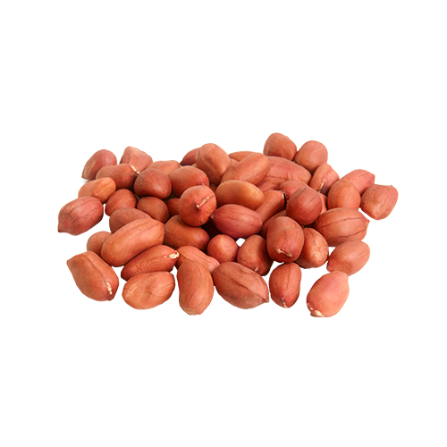 jual kacang ose
