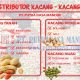 distributor kacang berkualitas